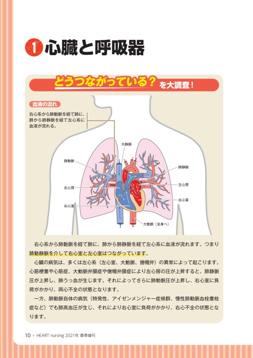 心臓 Crankshaft Position Sensor for Isuzu 600P Truck 4hk1