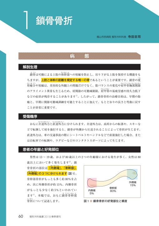 今日の整形外科治療指針 シーネギプス固定の基本 裁断済み P様専用